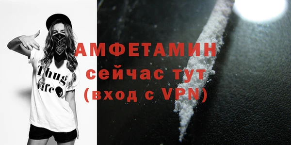 крисы Мегион