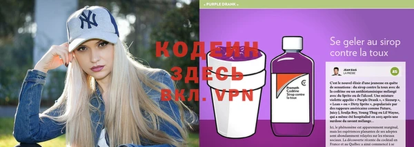 индика Медвежьегорск