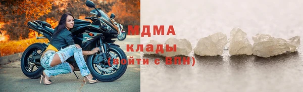 индика Медвежьегорск