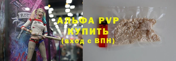 индика Медвежьегорск