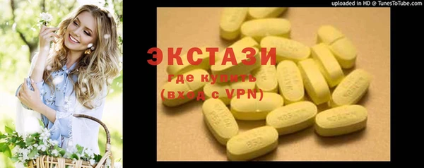 индика Медвежьегорск