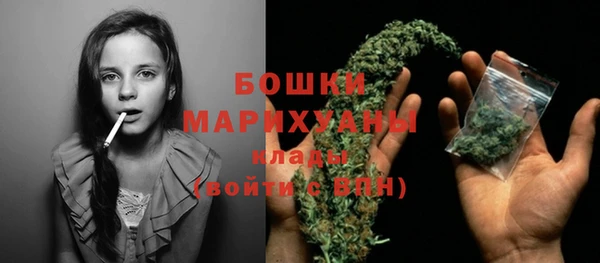 крисы Мегион