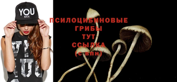 крисы Мегион