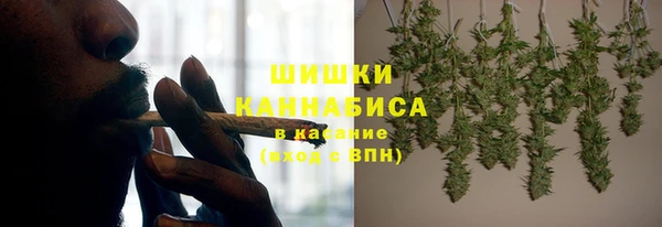 индика Медвежьегорск