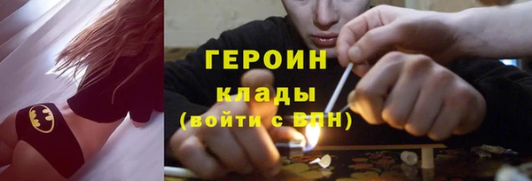 индика Медвежьегорск