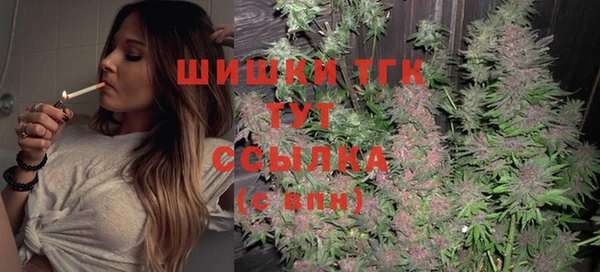 крисы Мегион
