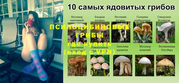 индика Медвежьегорск