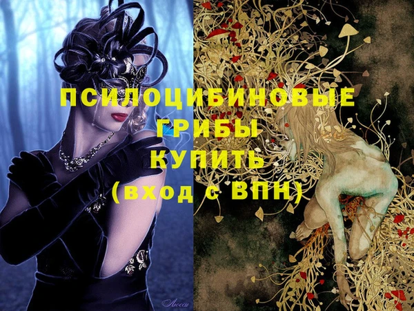 крисы Мегион
