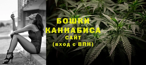 индика Медвежьегорск
