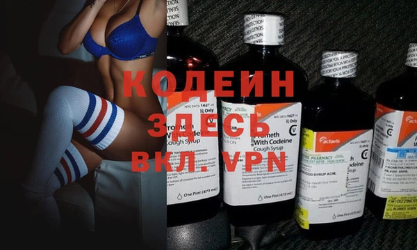 крисы Мегион