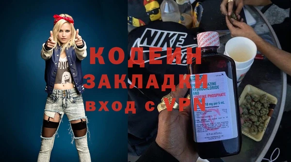 крисы Мегион