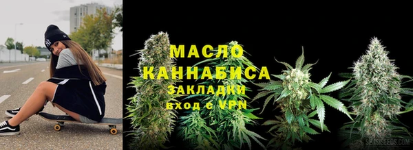 крисы Мегион
