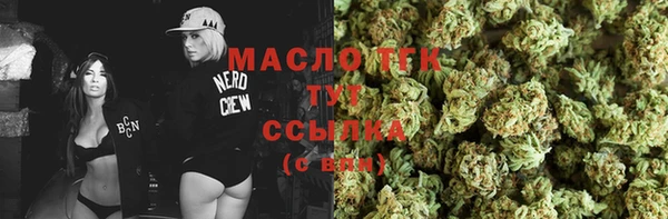 индика Медвежьегорск