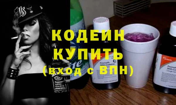 индика Медвежьегорск