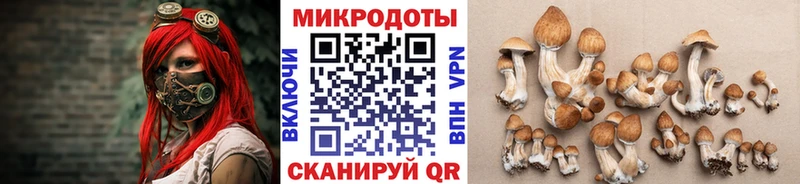 Галлюциногенные грибы мухоморы  shop клад  Стародуб 